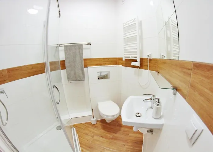 Grey * فروتسواف