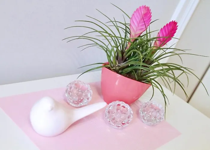 منزل للإقامة Grey